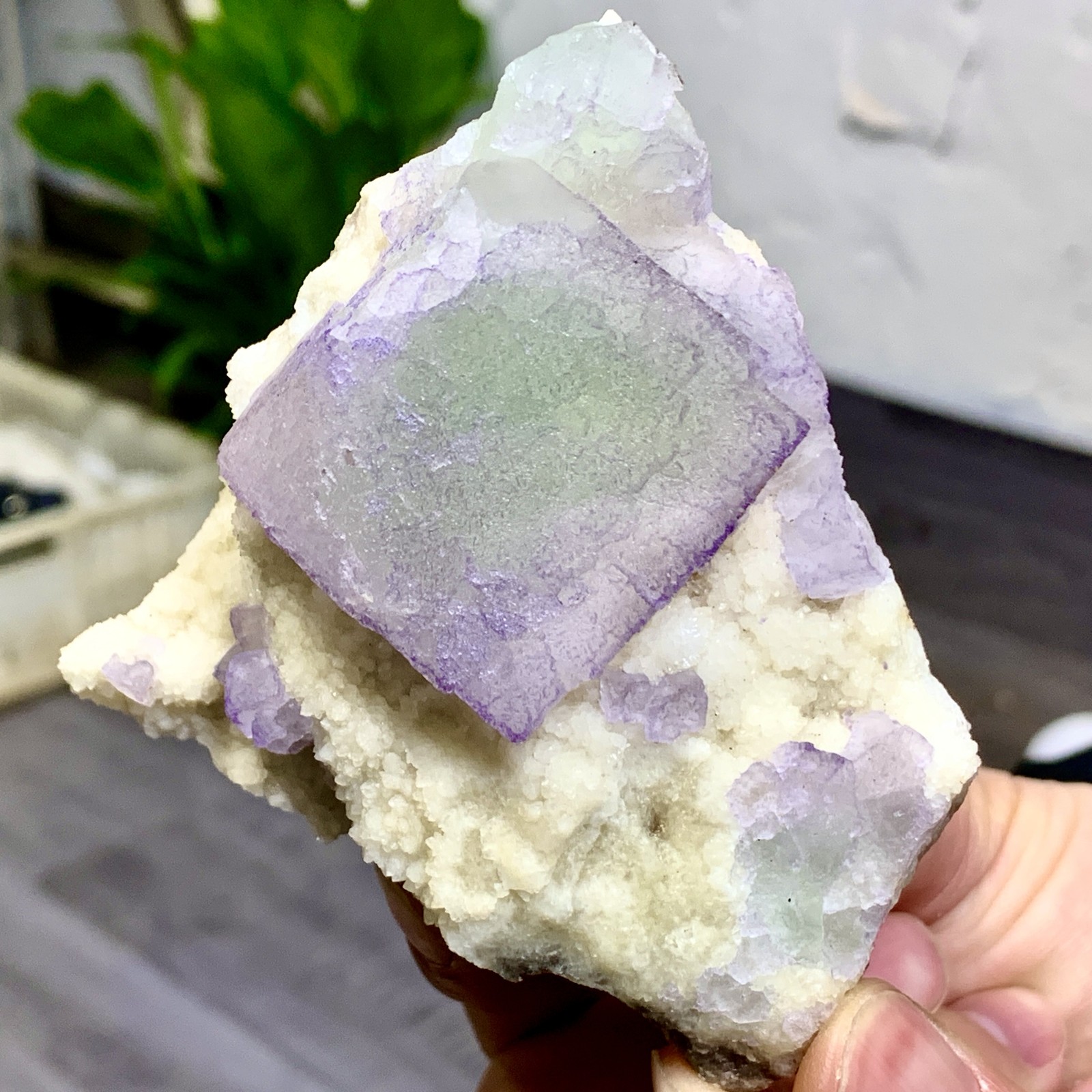 319G Rare transparent green purple cubic fluorite mineral crystal sample/China