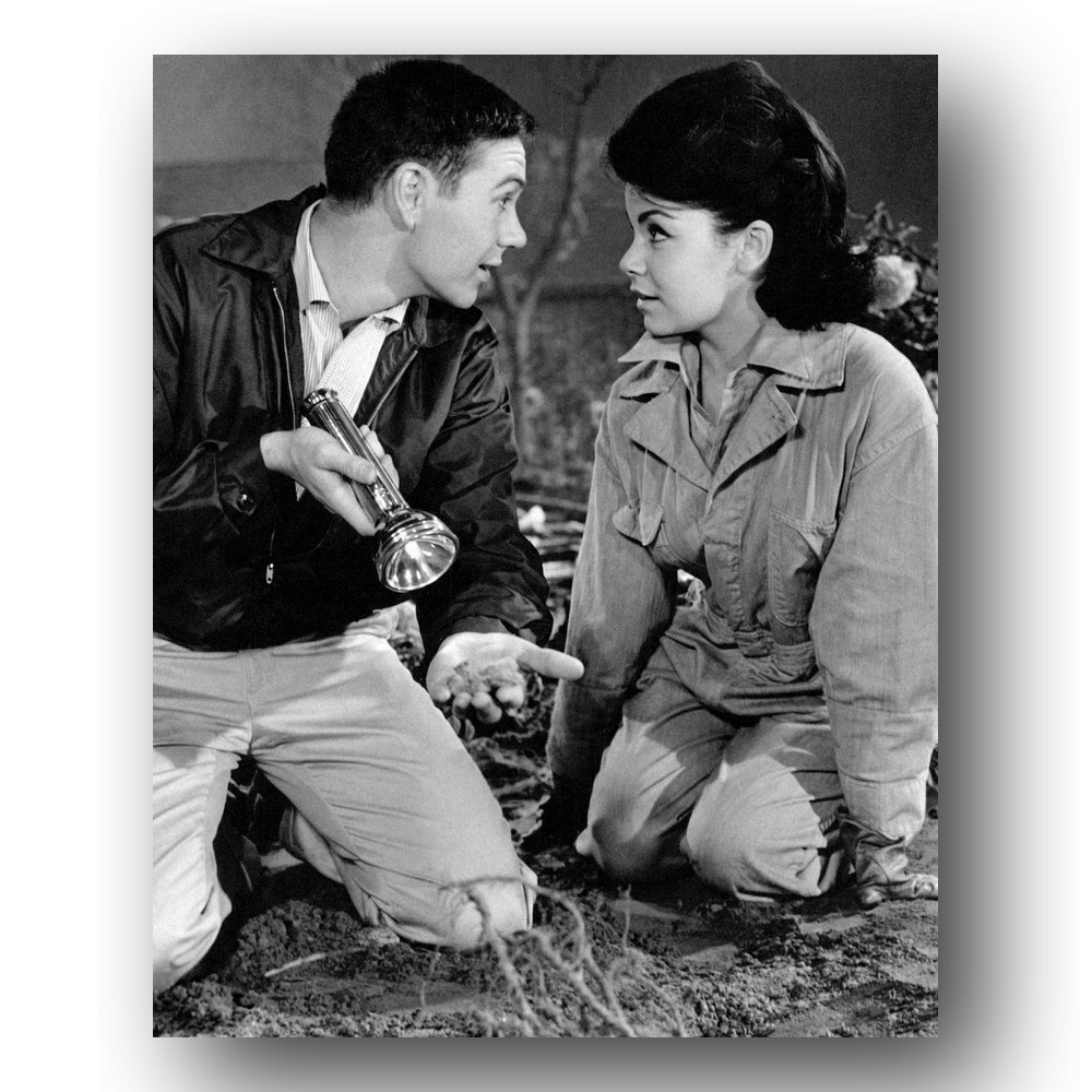 Annette Funicello, Tommy Kirk Photo 8x10 The Misadventures Of Merlin Jones 1964