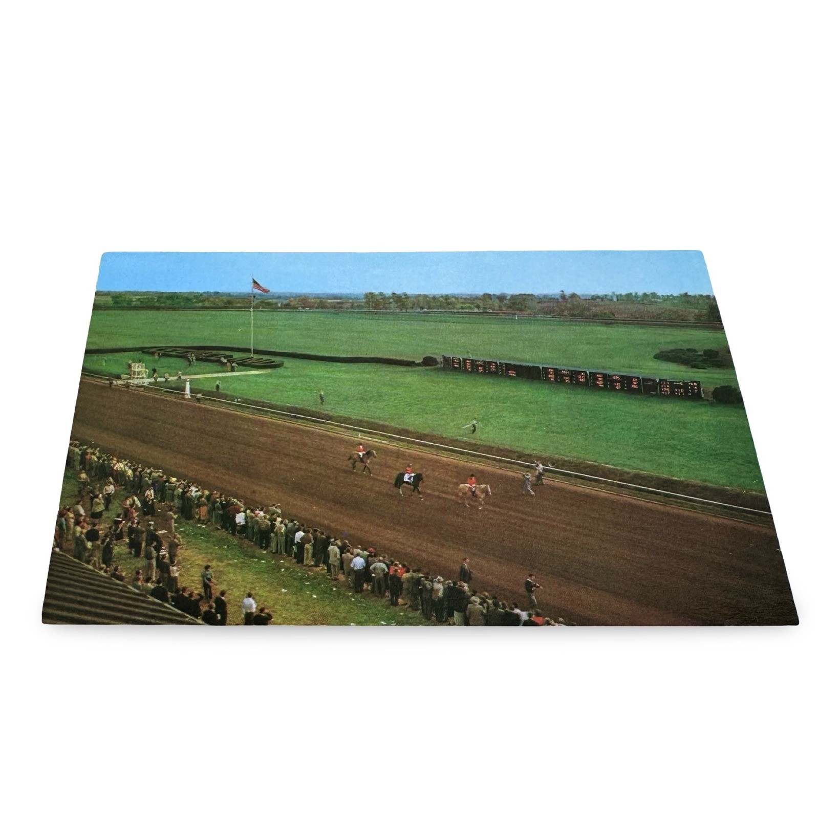Nashua Horse Final Public Appearance Keeneland Race 1960s Unused Postcard KY