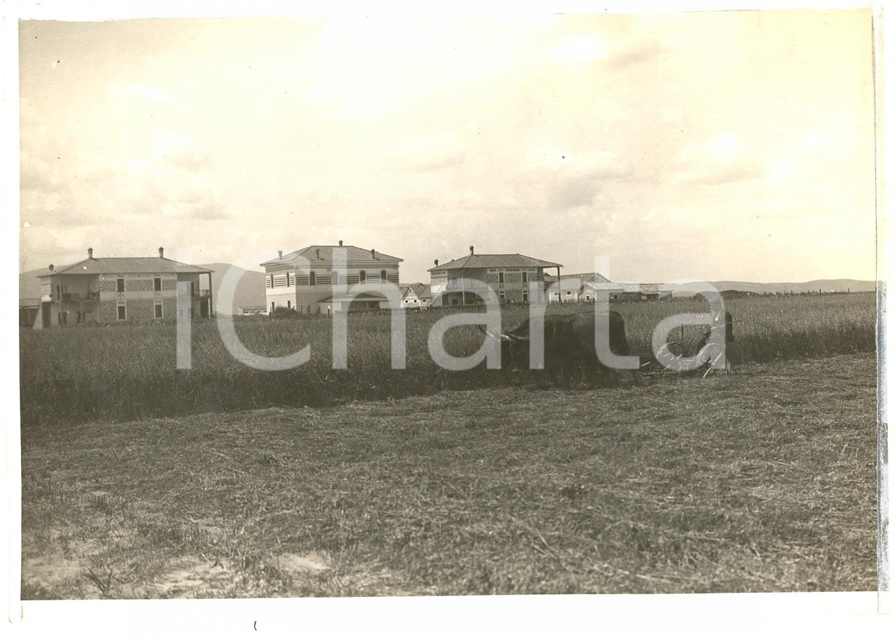 1930 TERRALBA (OR) farmhouses after reclamation ANIMATED