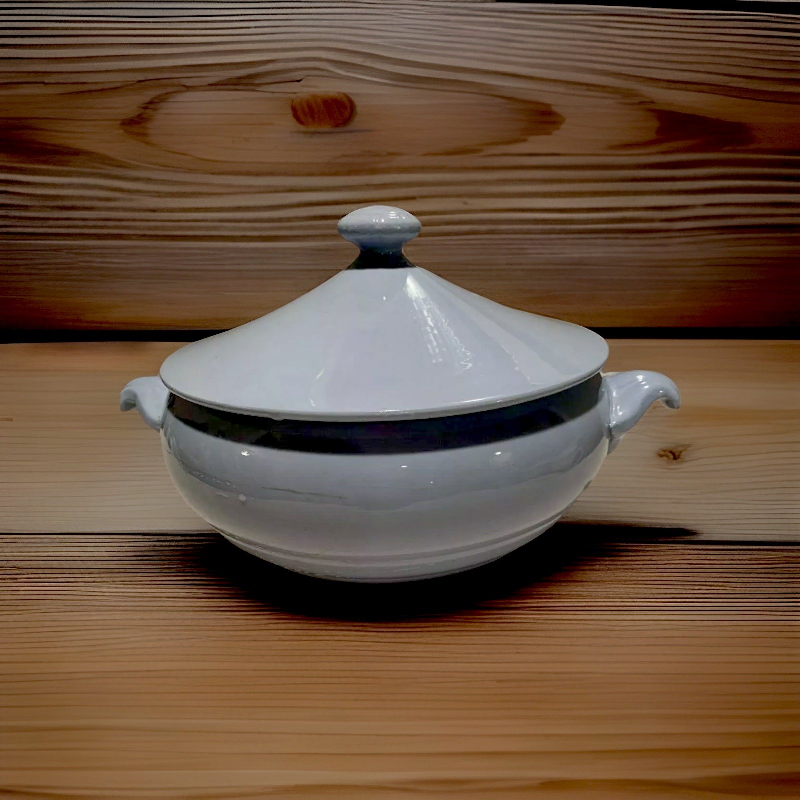 Antique French Sarreguemines Fine Earthware Soup Tureen with Lid