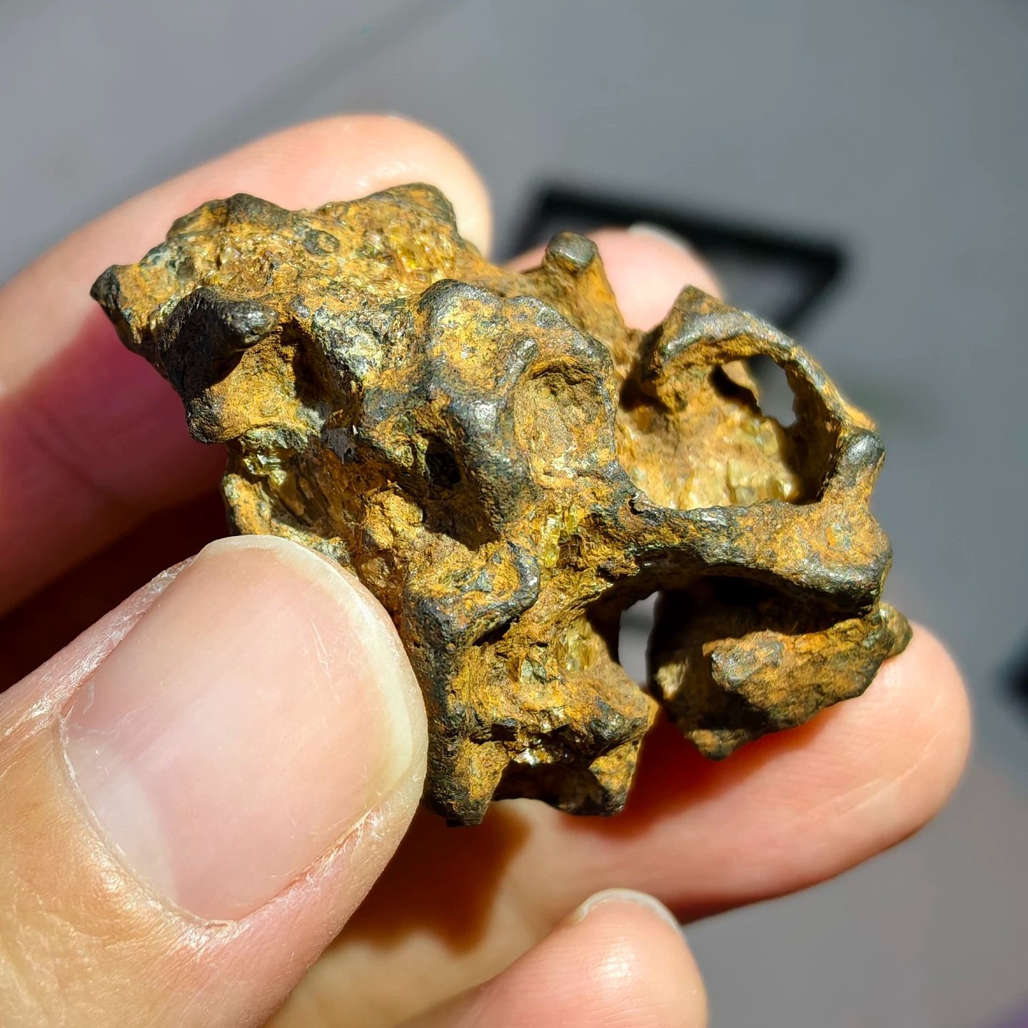 Sericho Pallasite Meteorite Specimen Natural Holes With A Certificate