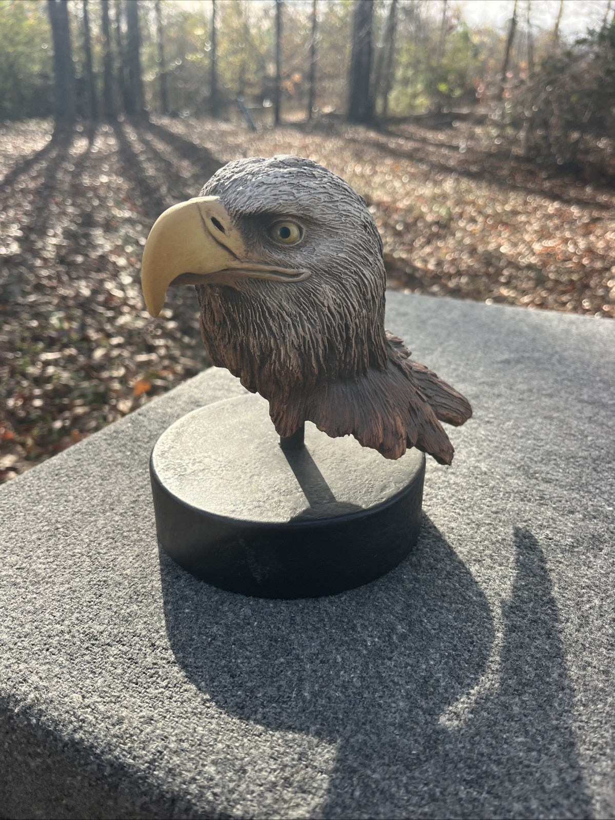 Rick Cain “Year Of The Eagle” 116/2000 American Native Signed & Numbered