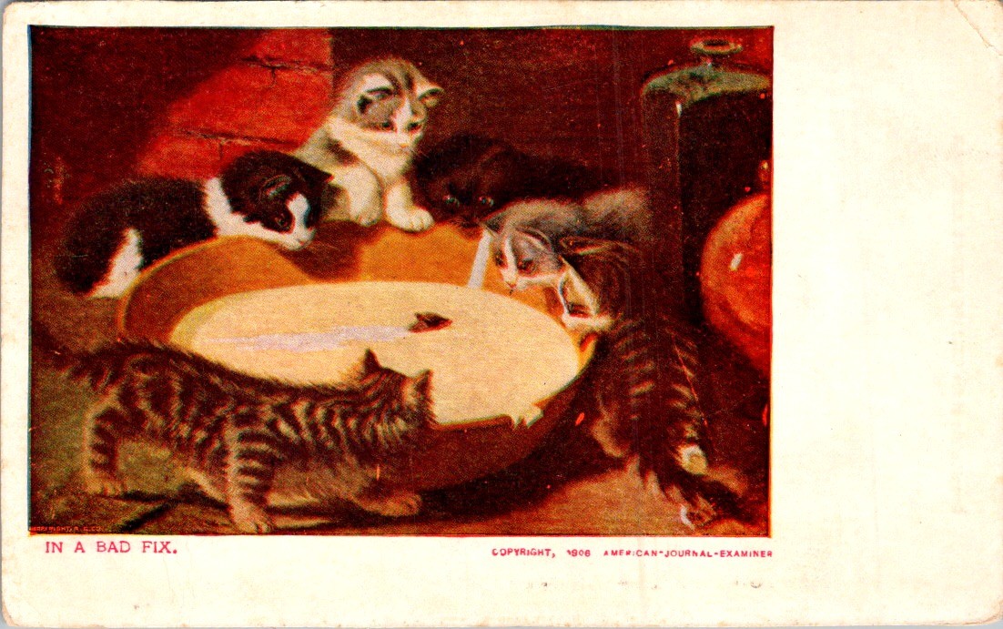 1908 Comic Postcard In A Bad Fix Kittens Bowl Chromo Chicago Sunday American