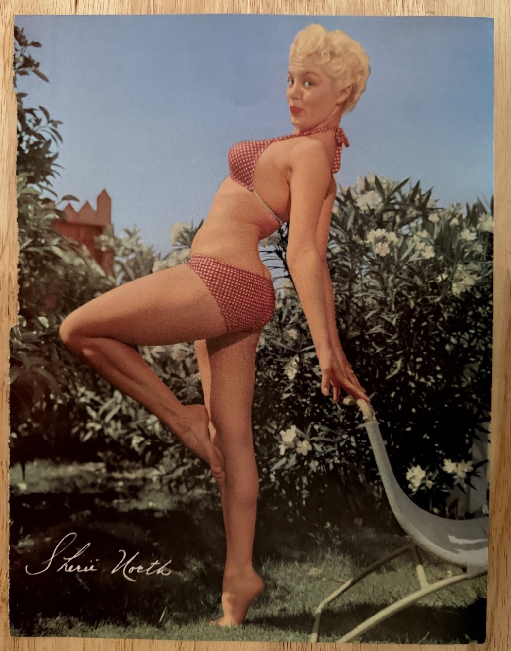 Sheri North Vintage 1950\'s Hollywood Starlet Photo Page