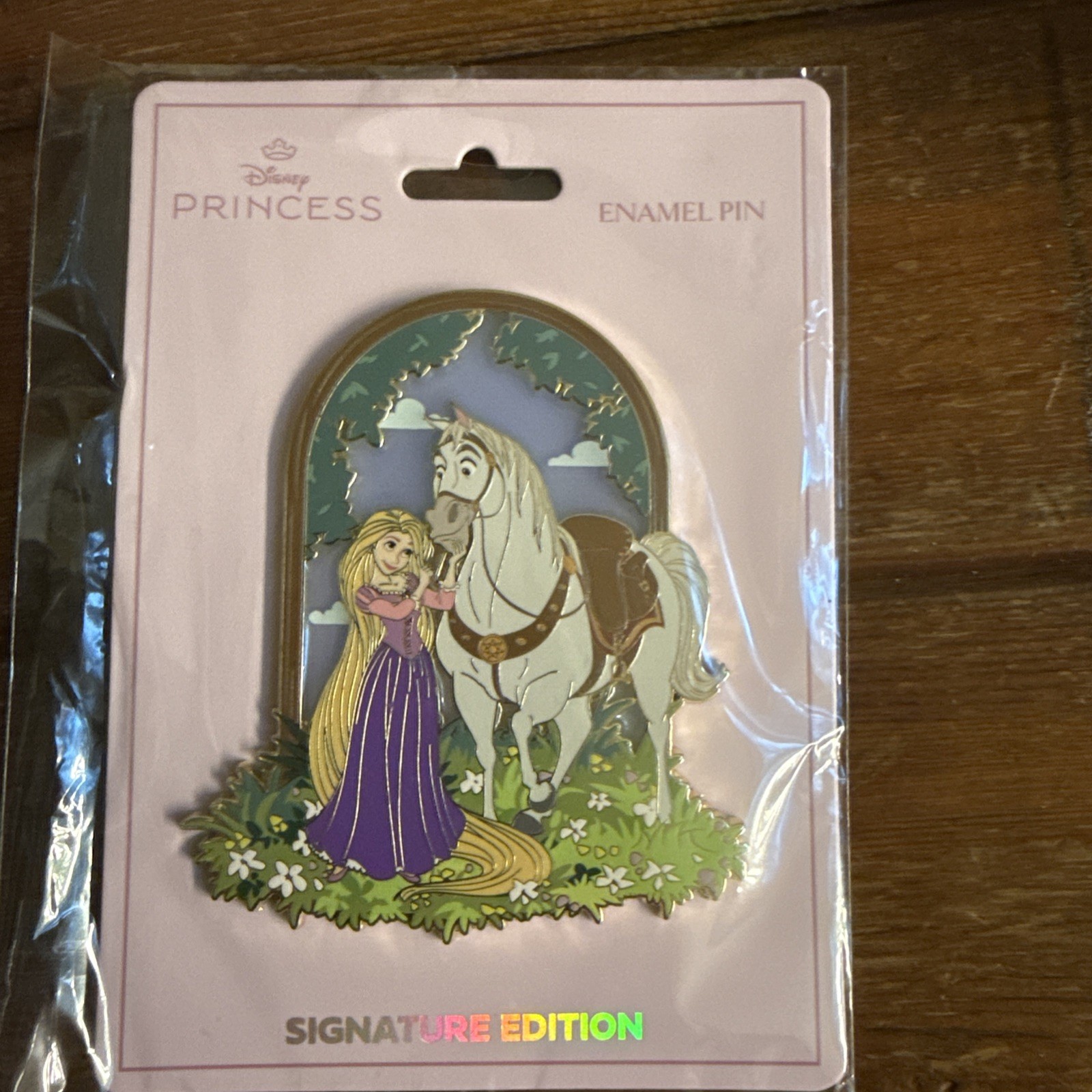 PALM Rapunzel Maximus Courtyard Jumbo Stained Glass Pin LE 750 SOLD OUT