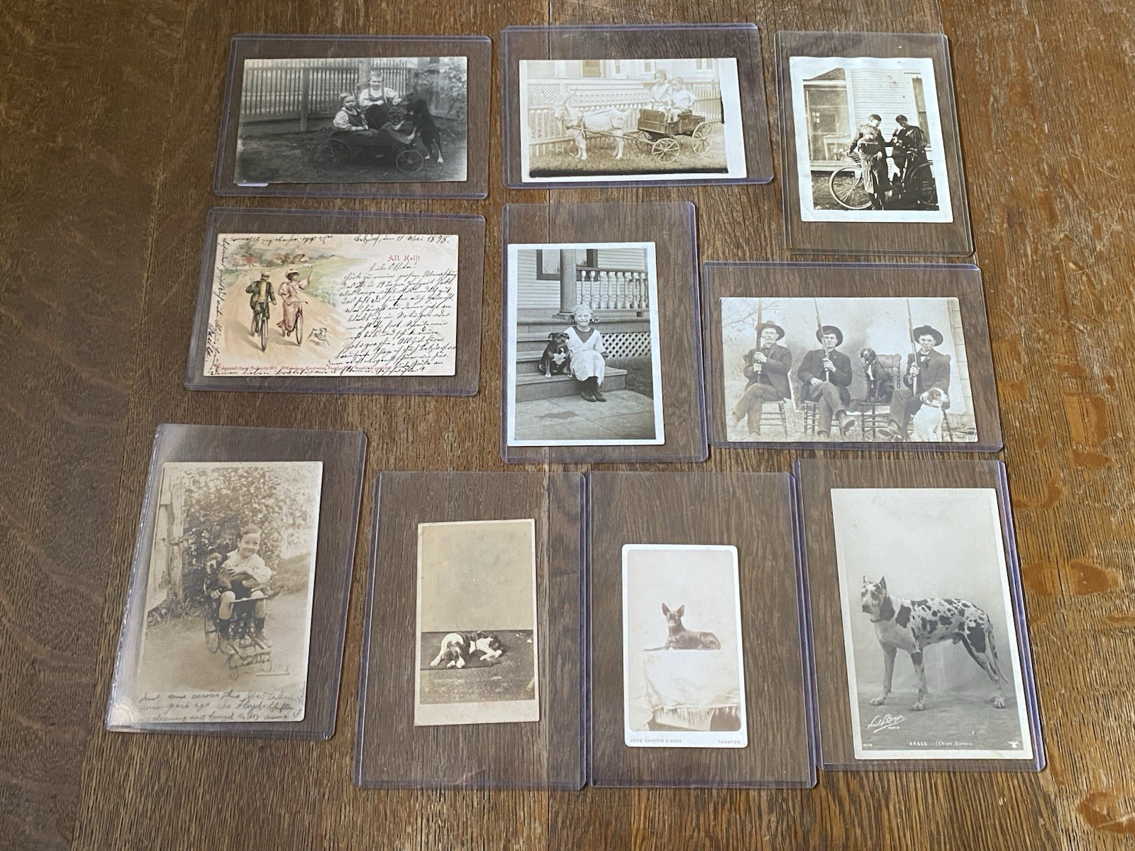 14: Lot of Ten Antique Photos Postcards RPPC CDVs with Vintage DOGS Nice Group