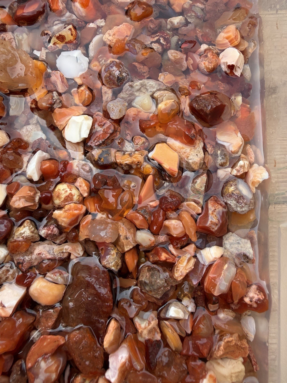 1750g Natural Mexican Fire Opal Rough Lapidary Cabbing Specimen Dealer Lot