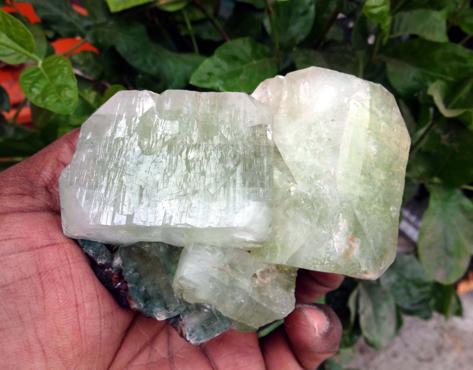 light green apophyllite crystals & matrix minerals specimen o-10