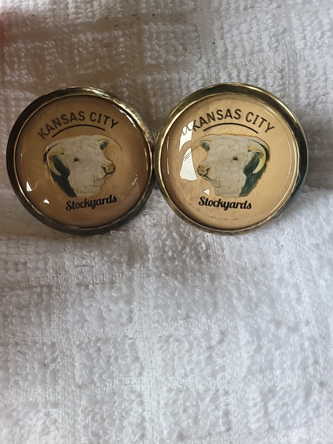 Bridle Rosette's Kansas City Stockyards Hereford  2 in brass and glass