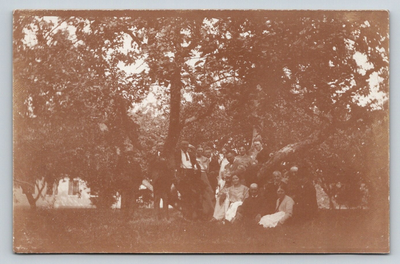 Vintage RPPC Large Group Family Portrait Under Trees Orchard Garden Sepia