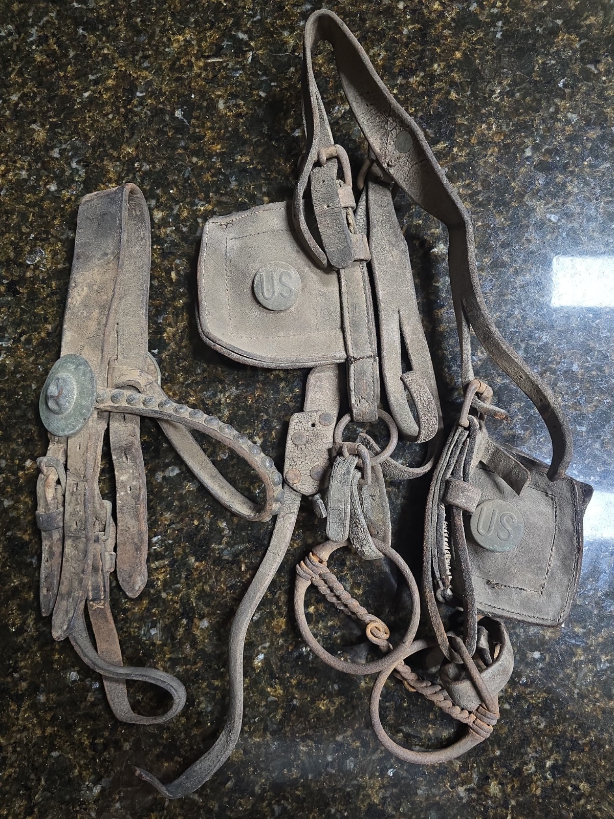 Antique US Army Artillery/Quartermaster Corps Mule Wagon Harness Bridle Blinders