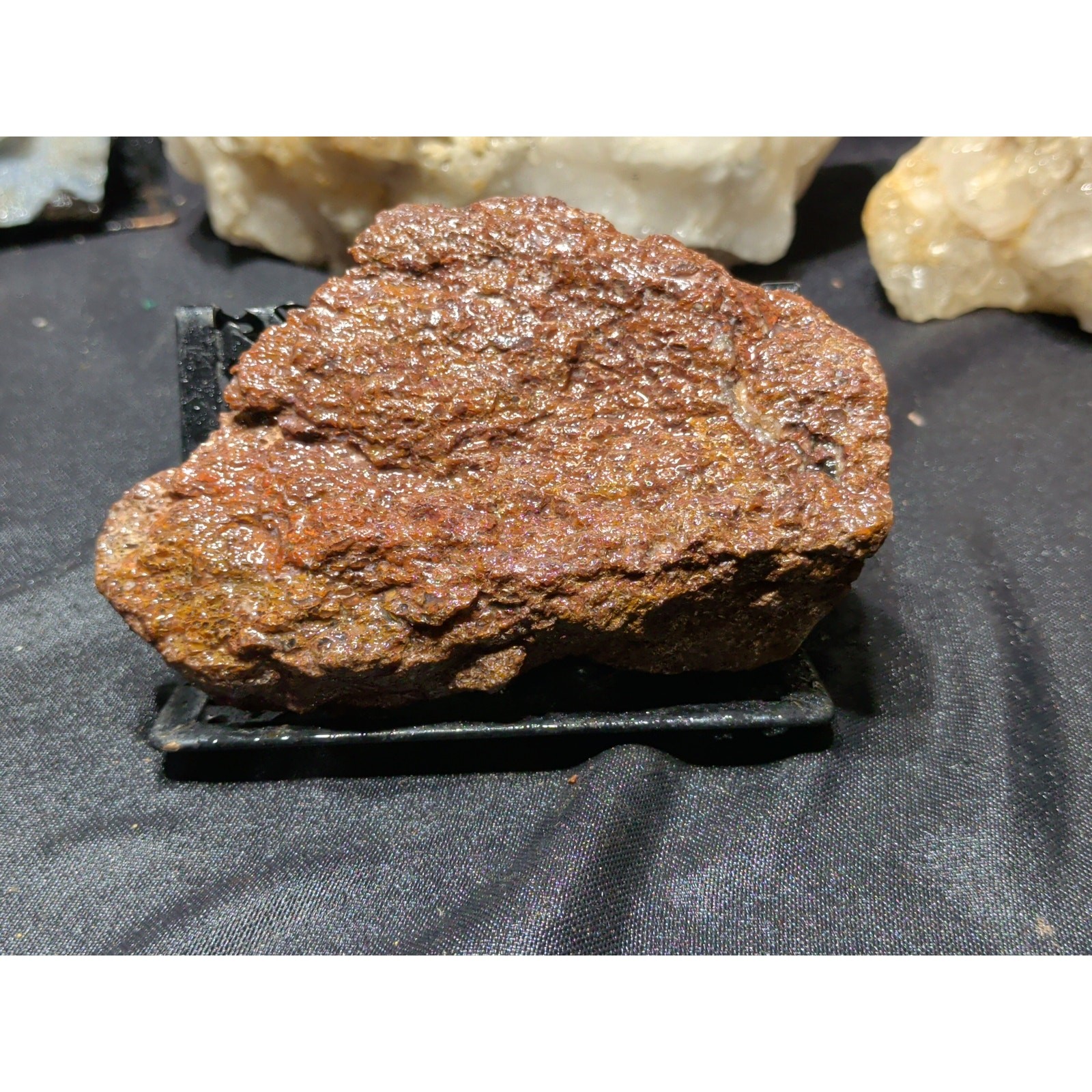 Gem Bone Specimen Natural Form (10oz)