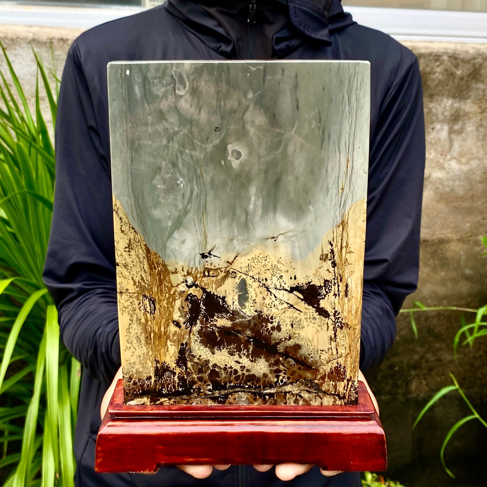 5.35LB Beautiful Natural Chinese Dendritic Limestone Picture Stone Guohua-Rare