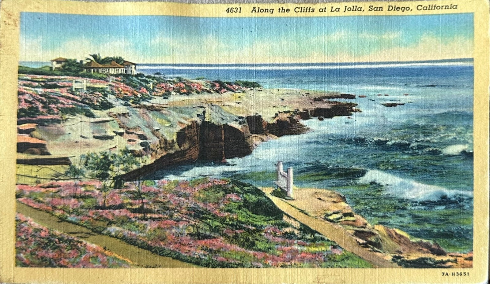 Postcard Along the Cliffs at La Jolla San Diego CA Linen