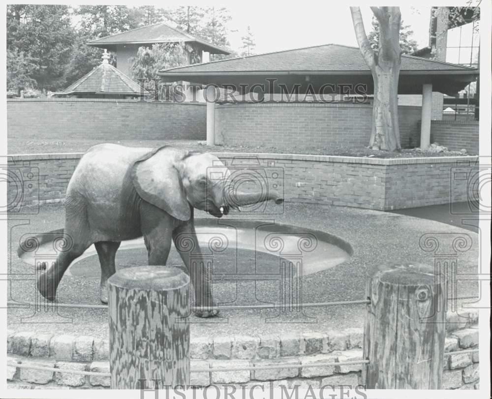 1972 Press Photo Elephant at the Woodland Park Children\'s Zoo - lra50956