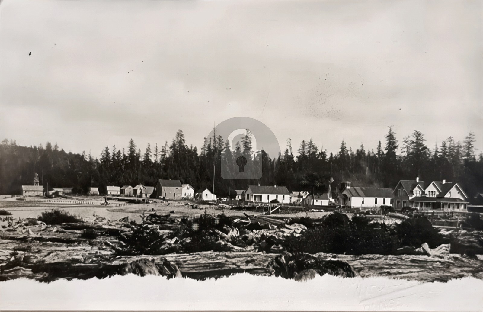 c1910 Dungeness WA Washington Town View RPPC Photo Postcard COPY