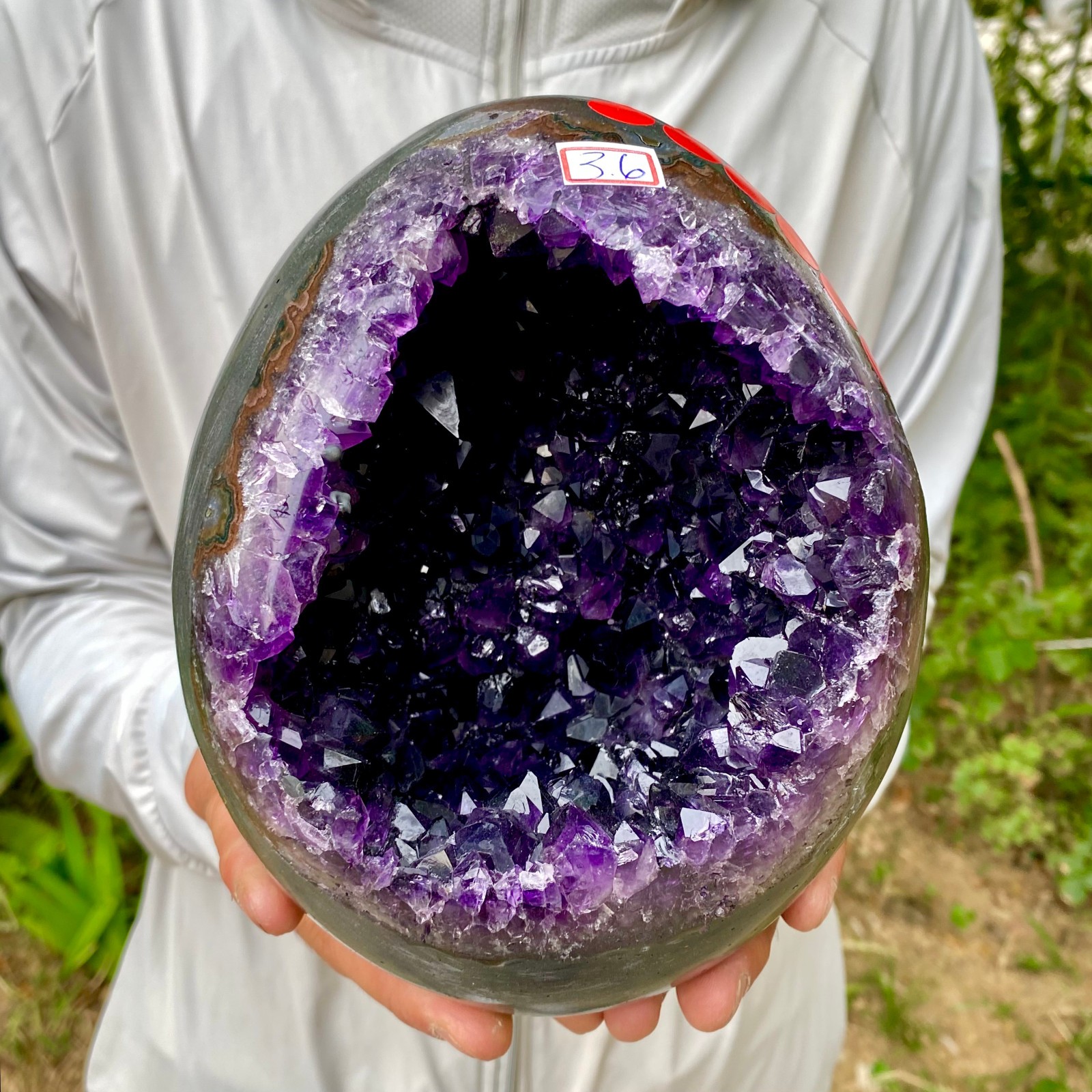 7.91LB Natural amethyst Dinosaur egg Quartz Crystal specimen healing