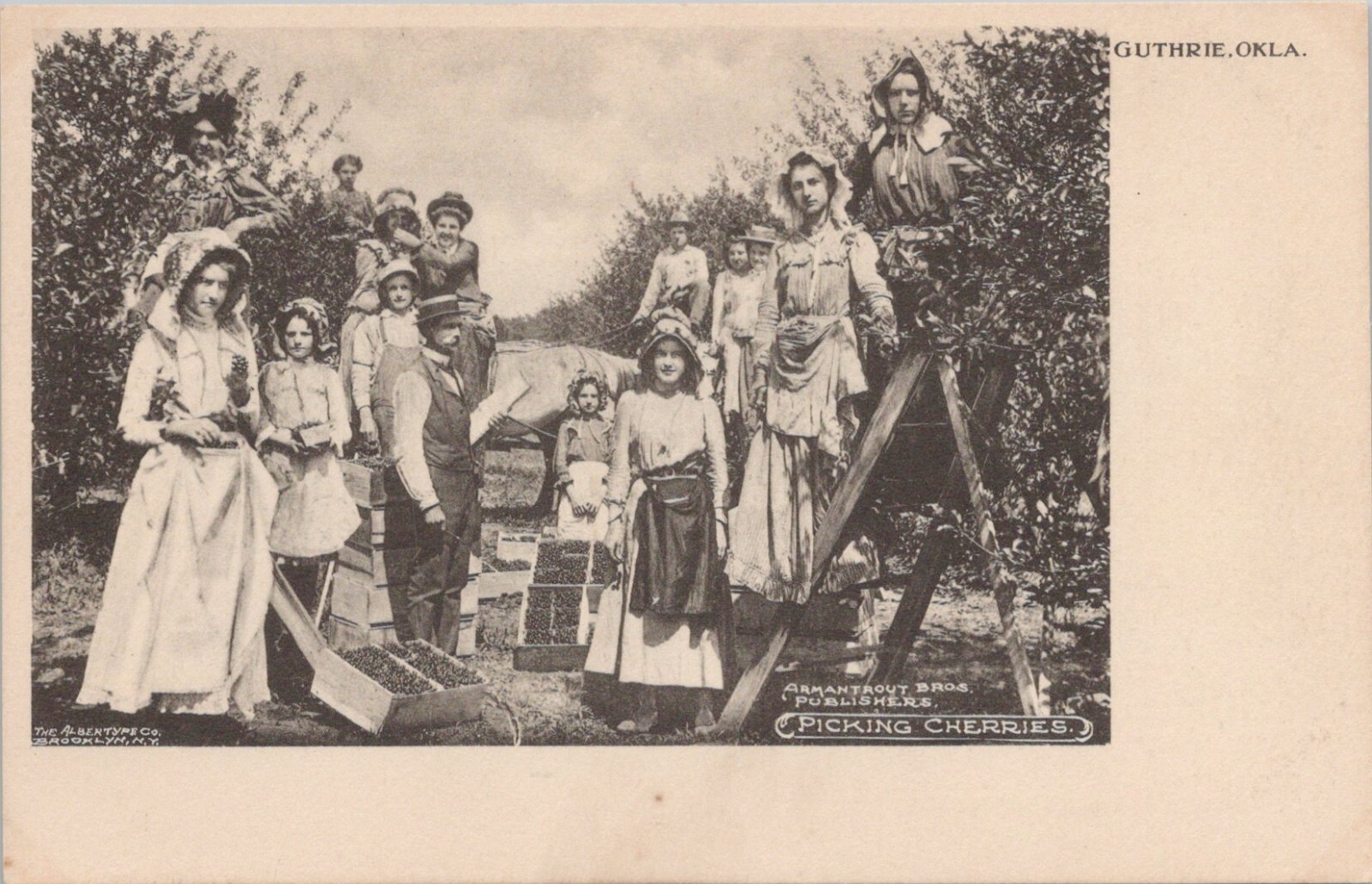 Photo PC Guthrie Oklahoma Group of Women in Dresses Picking Cherries c. 1910