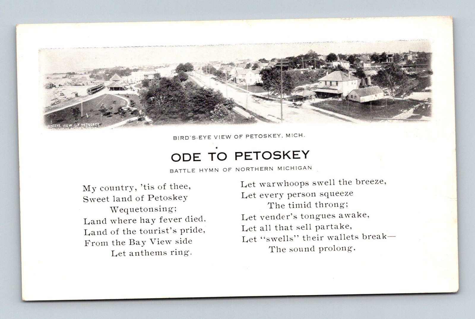 MI Petoskey 1910s Bird\'s-Eye View - Postcard