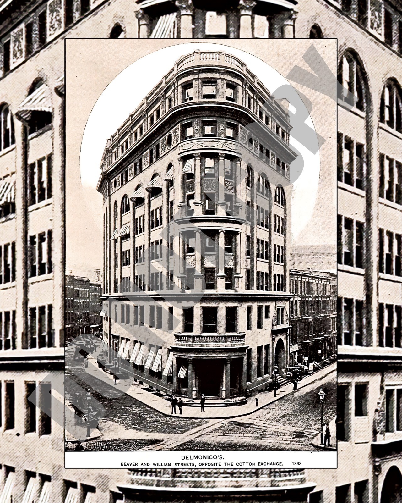 1893 Delmonico's Restaurant Beaver Williams Street New York City Ad 8x10 Photo