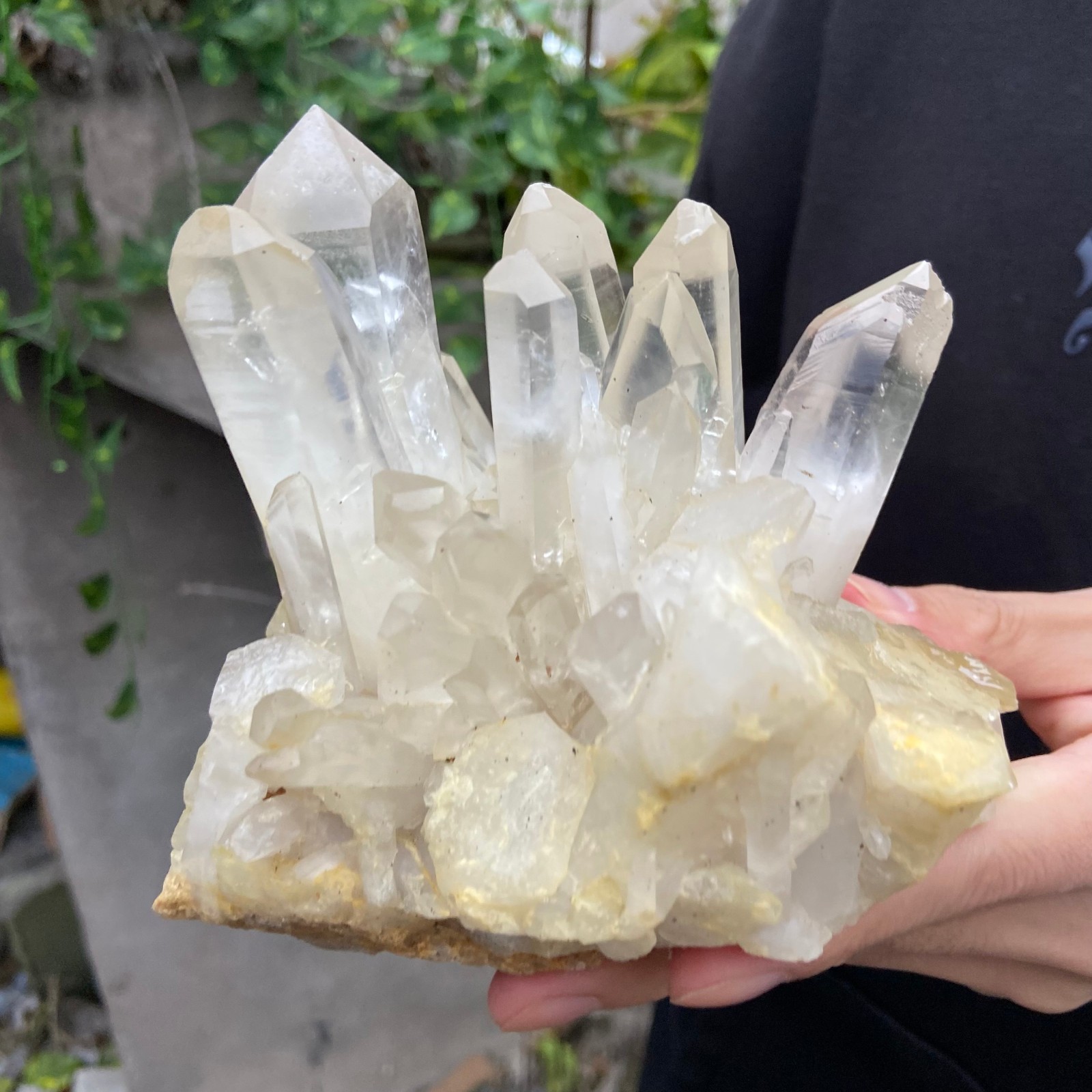 4.6LB  A++Large Natural clear white Crystal Himalayan quartz cluster /mineralsls