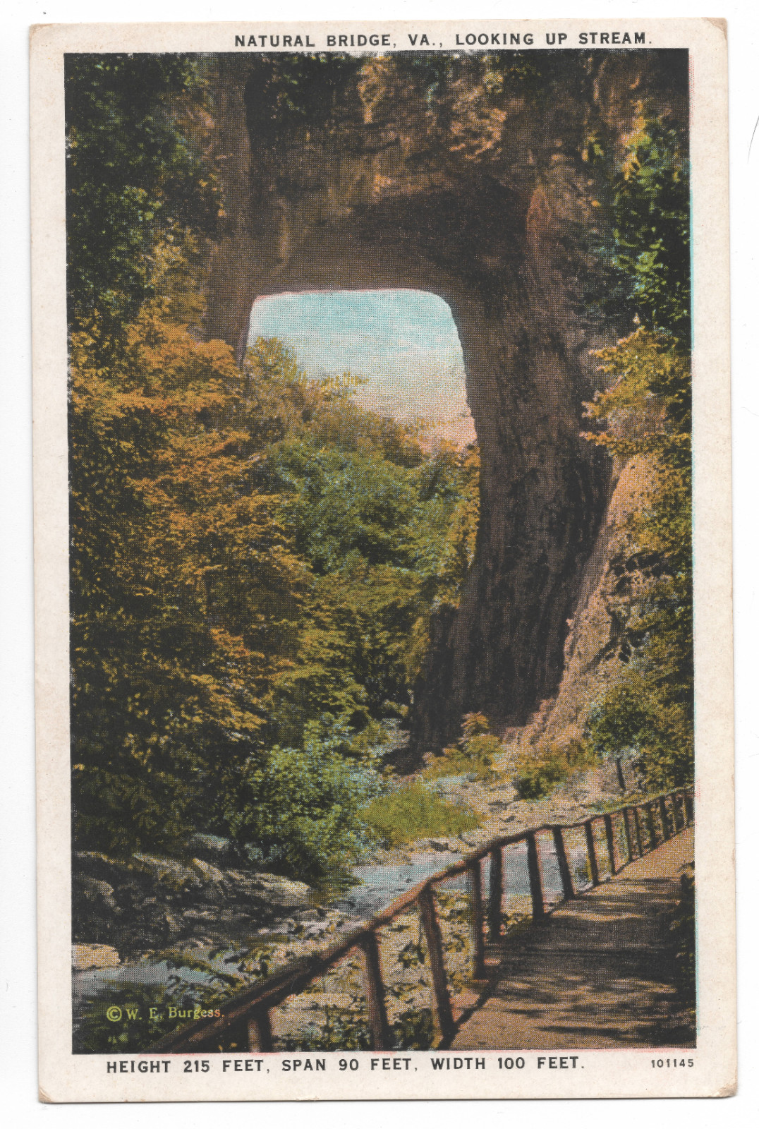 NATURAL BRIDGE, VA LOOKING UP STREAM ROCKBRIDGE COUNTY, VA W.E. BURGESS POSTCARD