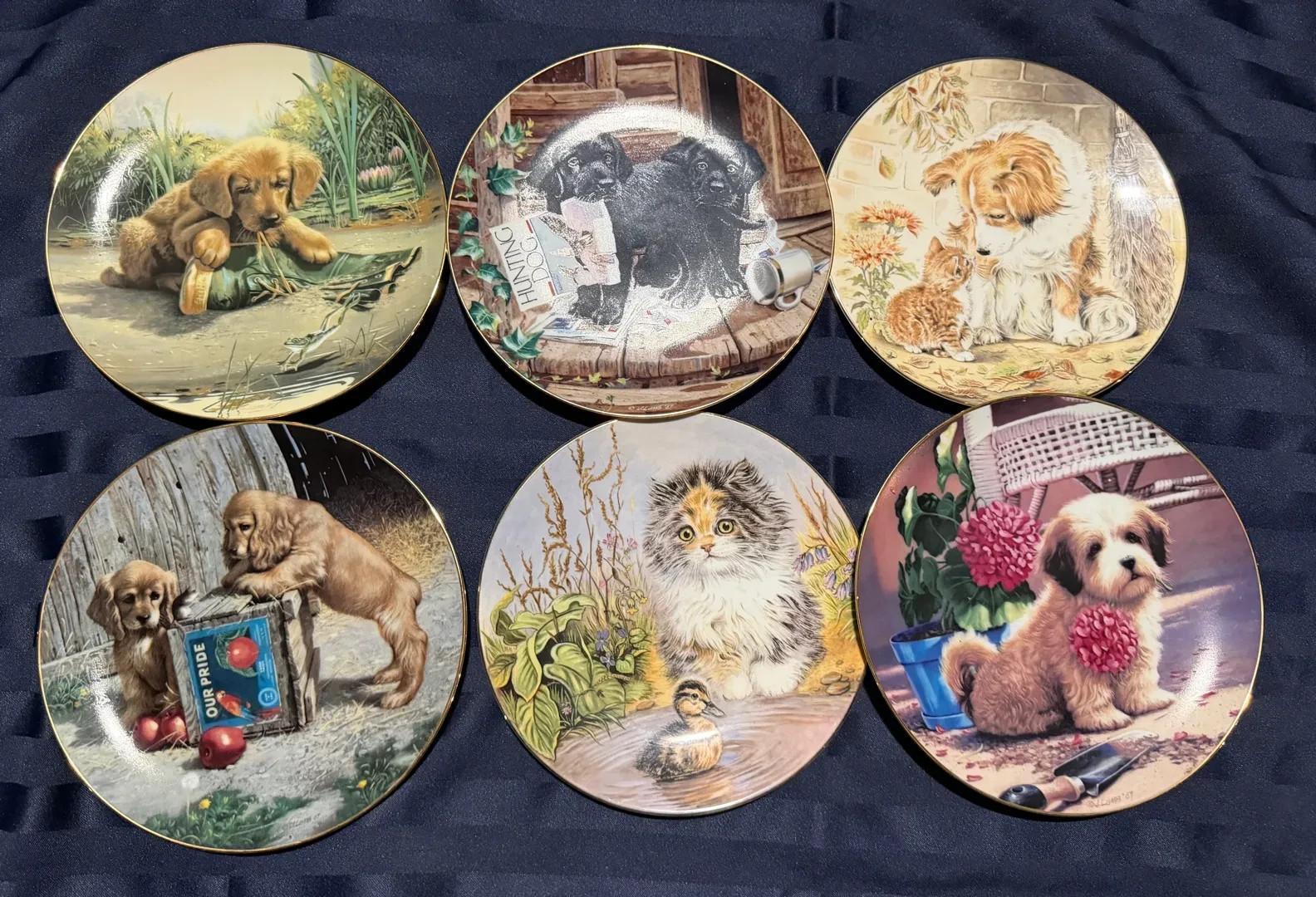 6 Animal Art Plates – Puppy Playtime & Kitten Encounters – Worcester & River