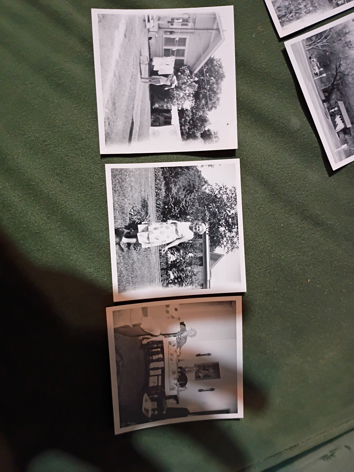 14 Vintage 1968 Photos