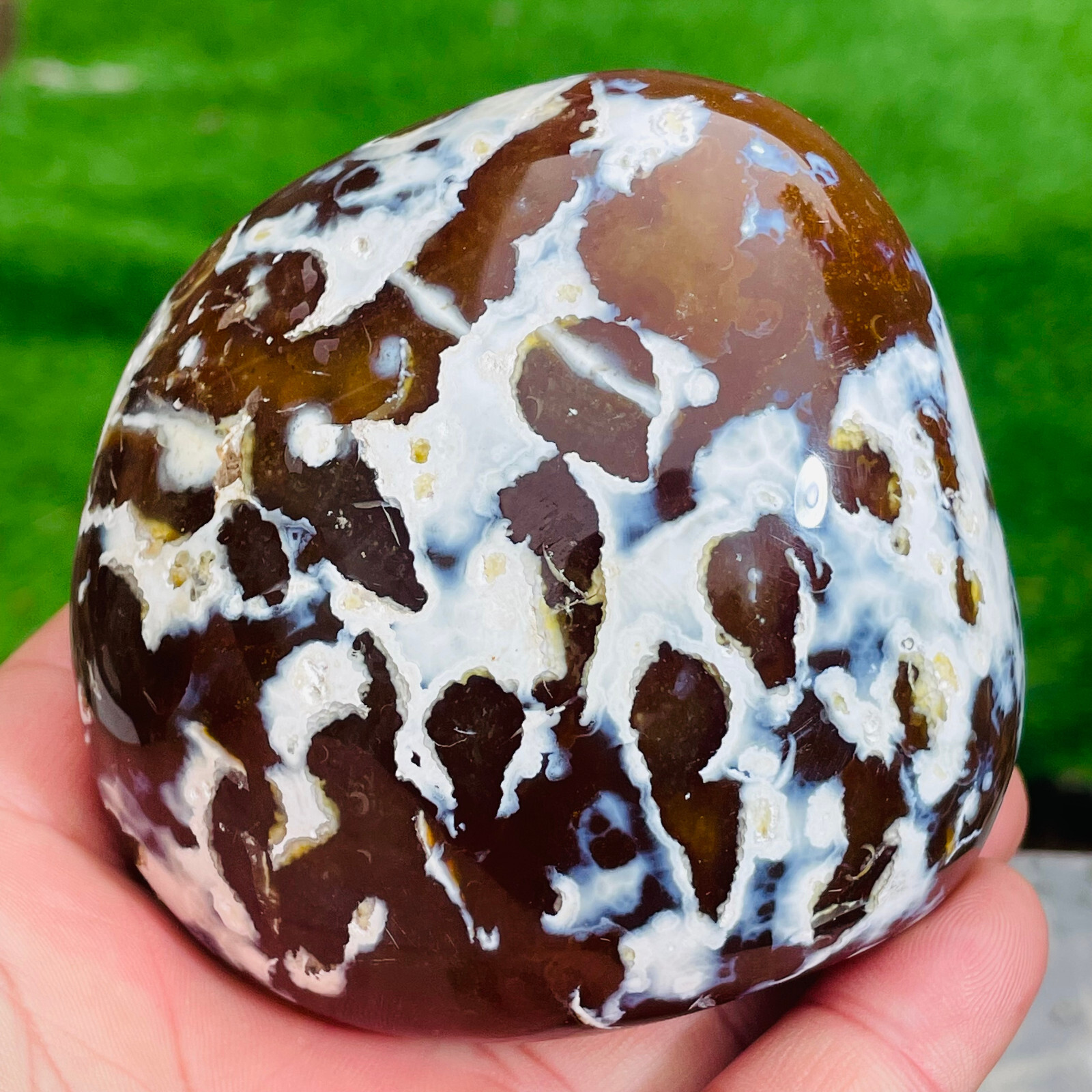 685g Natural Gobi Agate Eye Agate Banded Agate Crystal Healing Collection