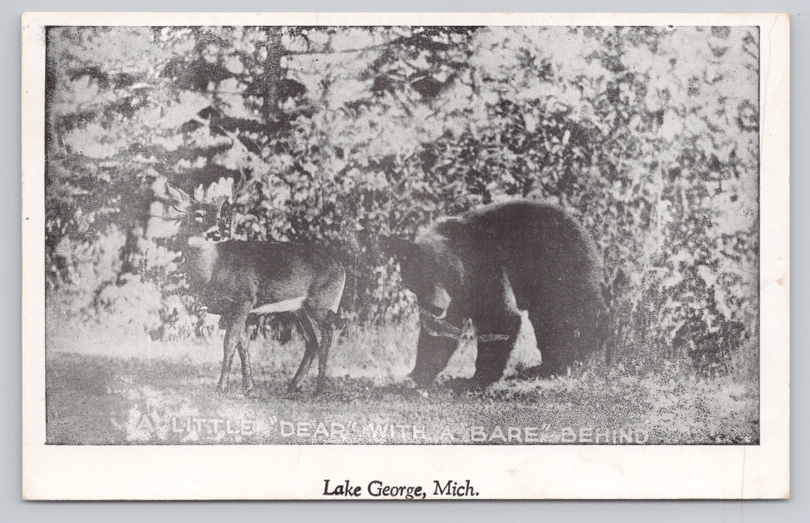 Atq/Vtg Post Card A little \