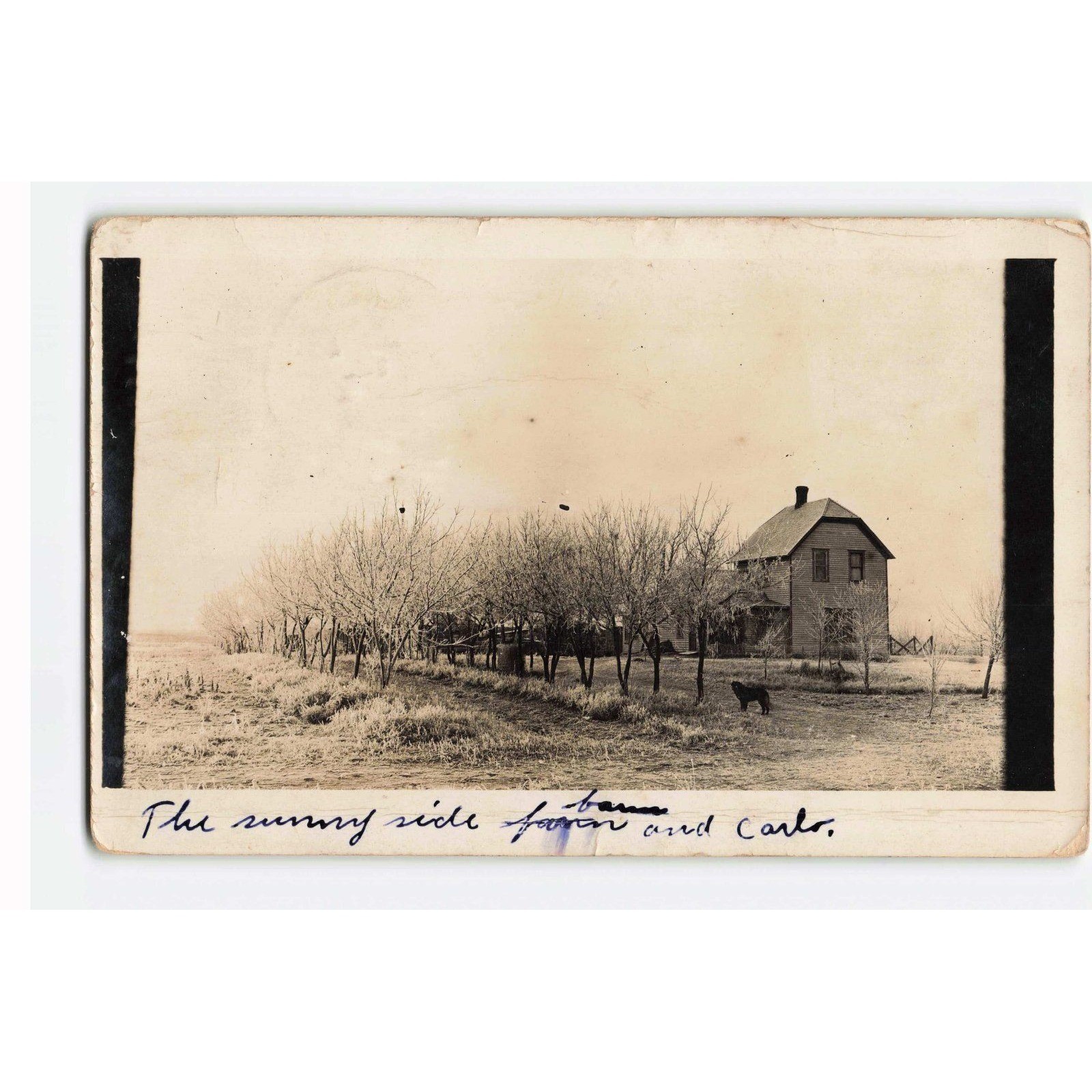 Vintage 1914 RPPC Sunny Side Farm Carlo Dog Farmhouse Pace Oklahoma Postcard