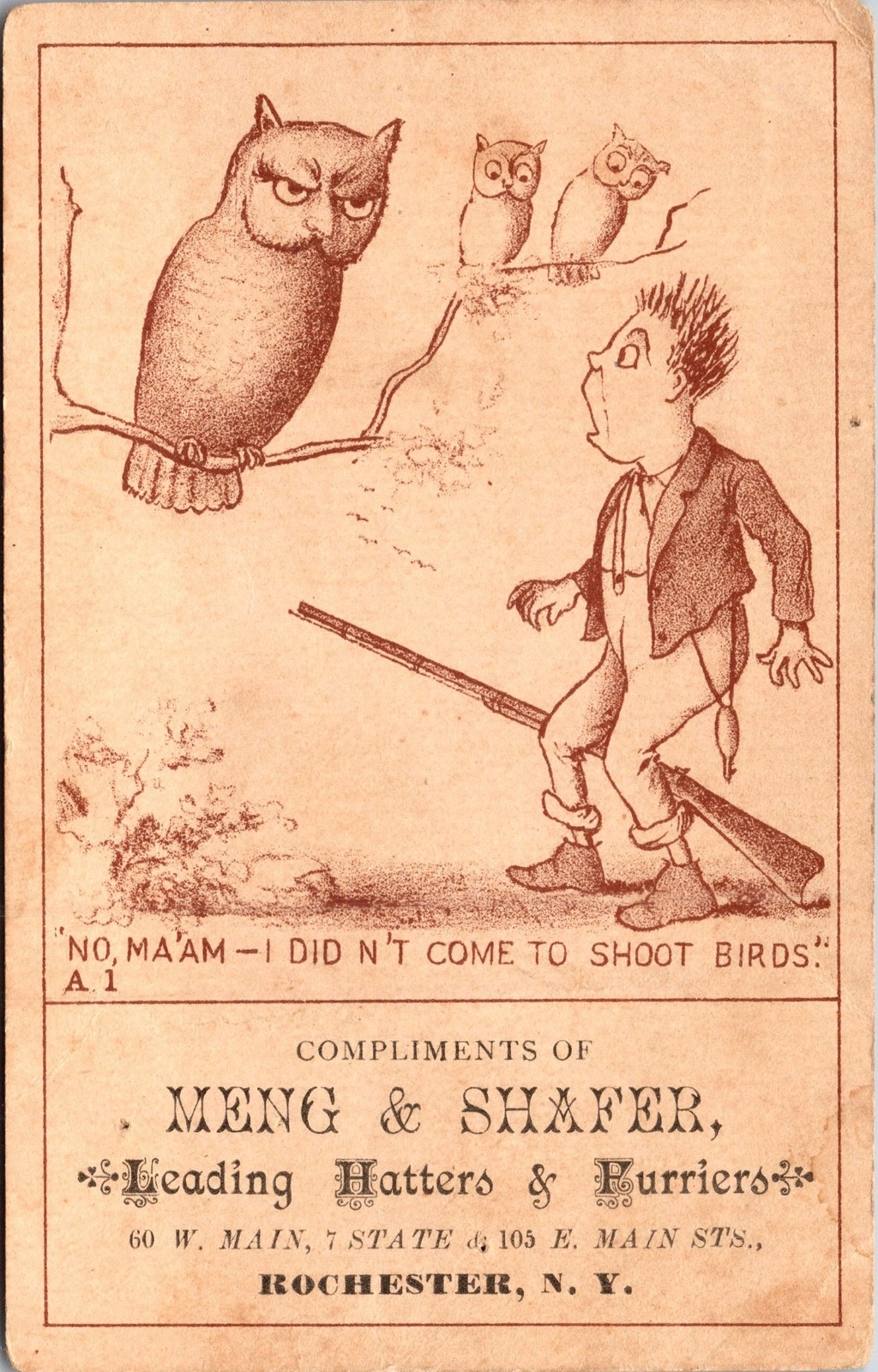 1880's Victorian Owl, Boy, Clothes, Hats, Furs, Vintage Trade Card Rochester N.Y