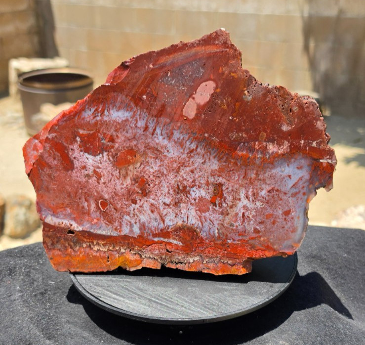 Cady Mountain Flame Agate Faced Rough Specimen 9