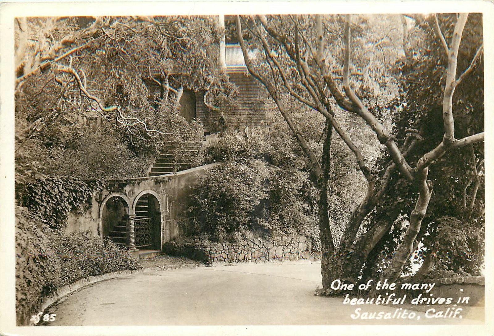 1936 Sausalito California One of he Many beautiful drives RPPC Postcard 26-4036