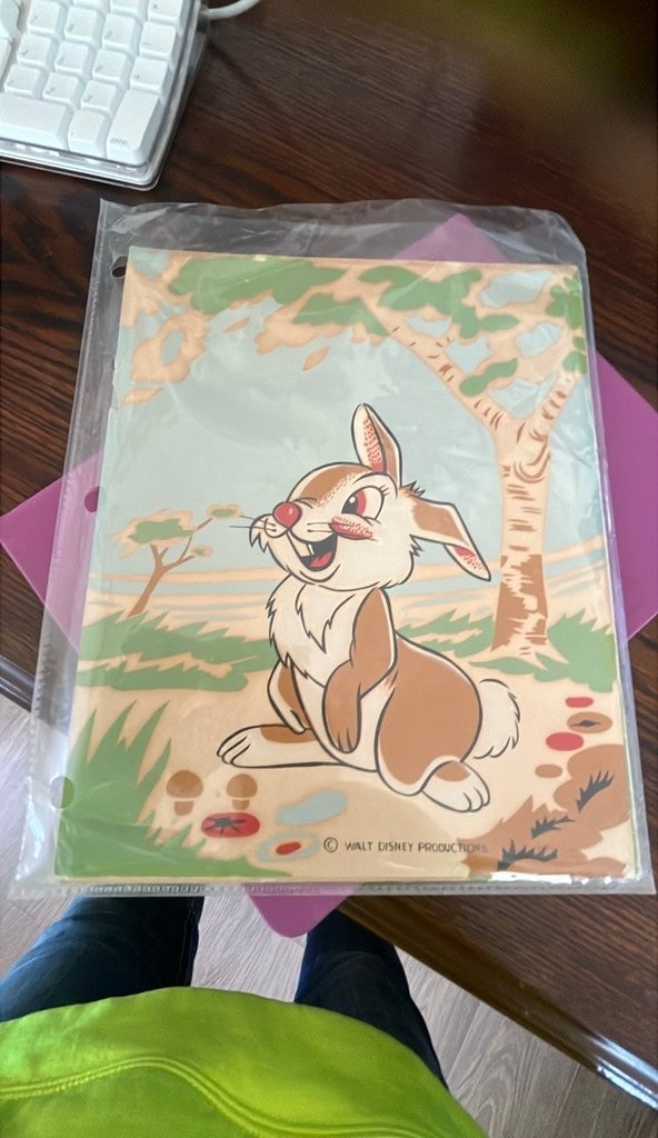 Vintage Walt Disney Productions Thumper Illustration