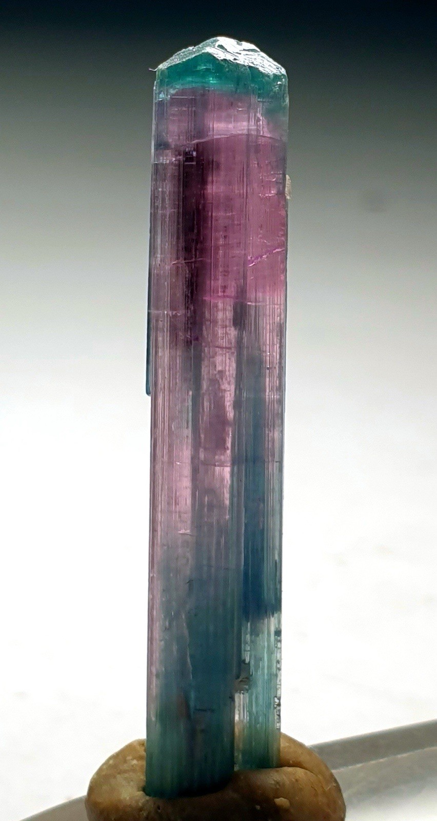 Top Quality Beautiful Blue Cap Bi-Colour Tourmaline Terminated Crystal 