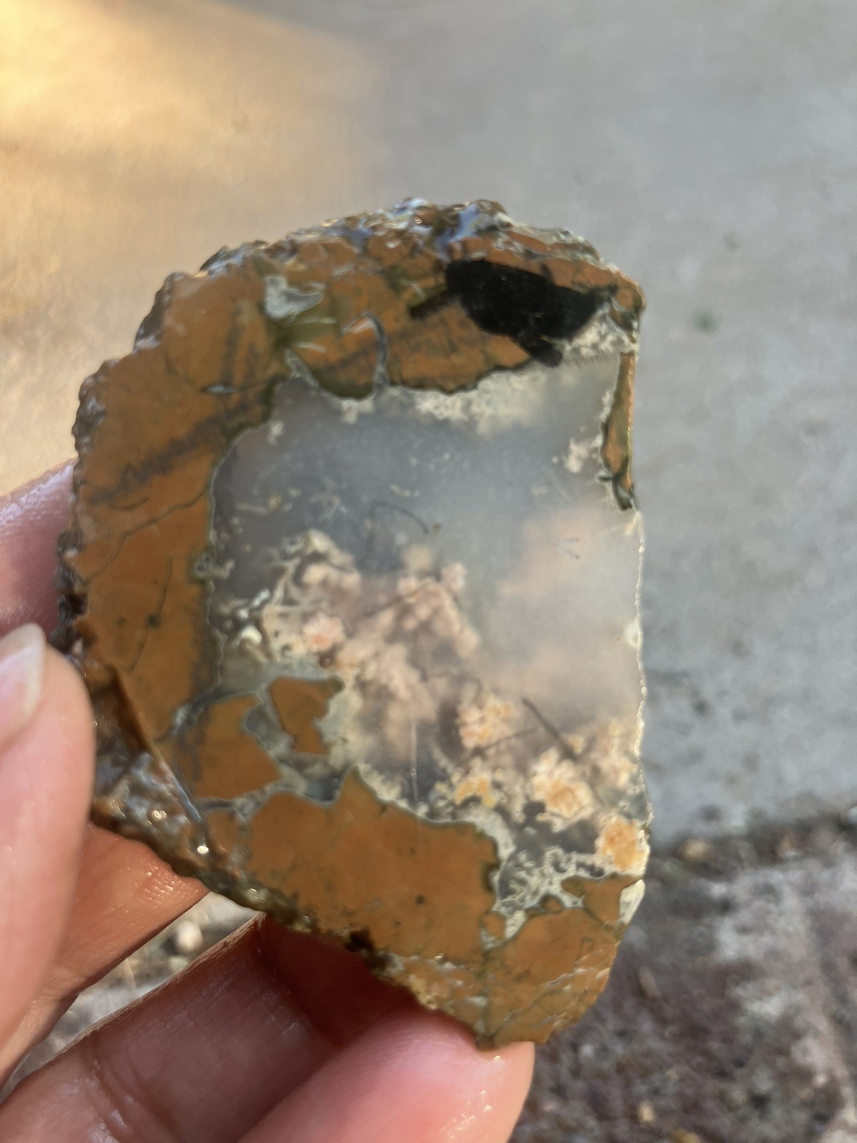 Priday Plume Agate (Oregon  - End Cut)