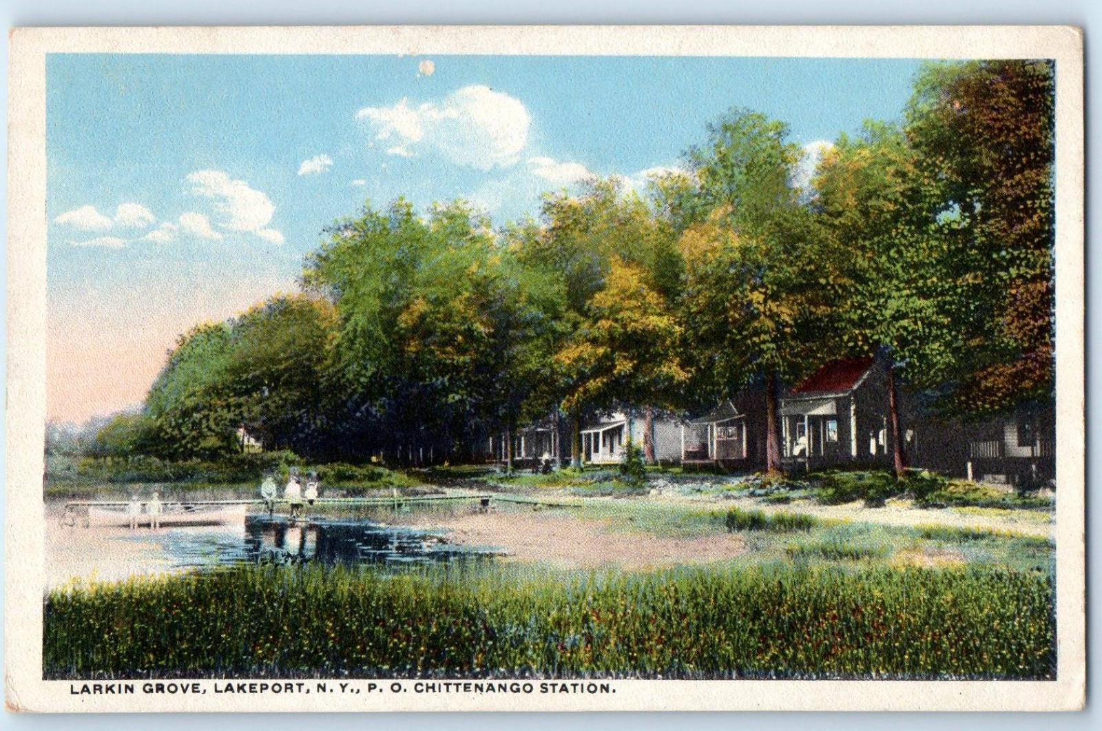 1920 Lakeport New York Postcard Larkin Grove N.Y. P.O. Chittenango Station
