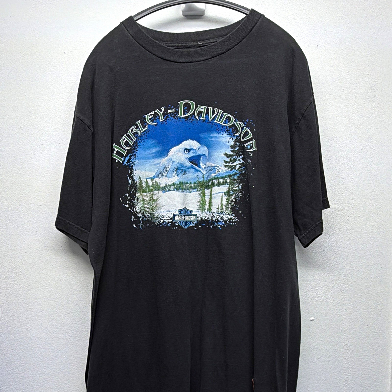 Vintage Harley-Davidson XL Donahue Delano Minnesota Graphic T-Shirt 1999