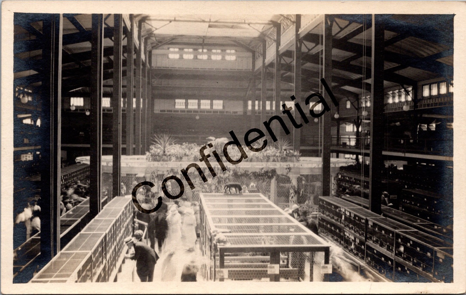 Real Photo Animal Display Cages At State Fair At Syracuse NY New York RPPC M410