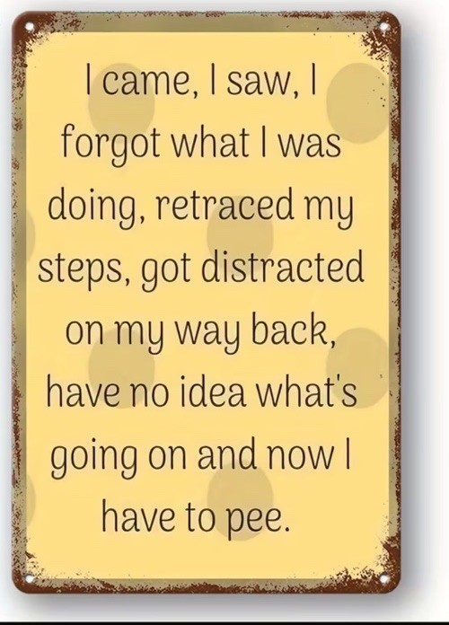 I Came I Saw I Forgot Have To Pee Garage Tin Metal Signs Home Décor 8x12