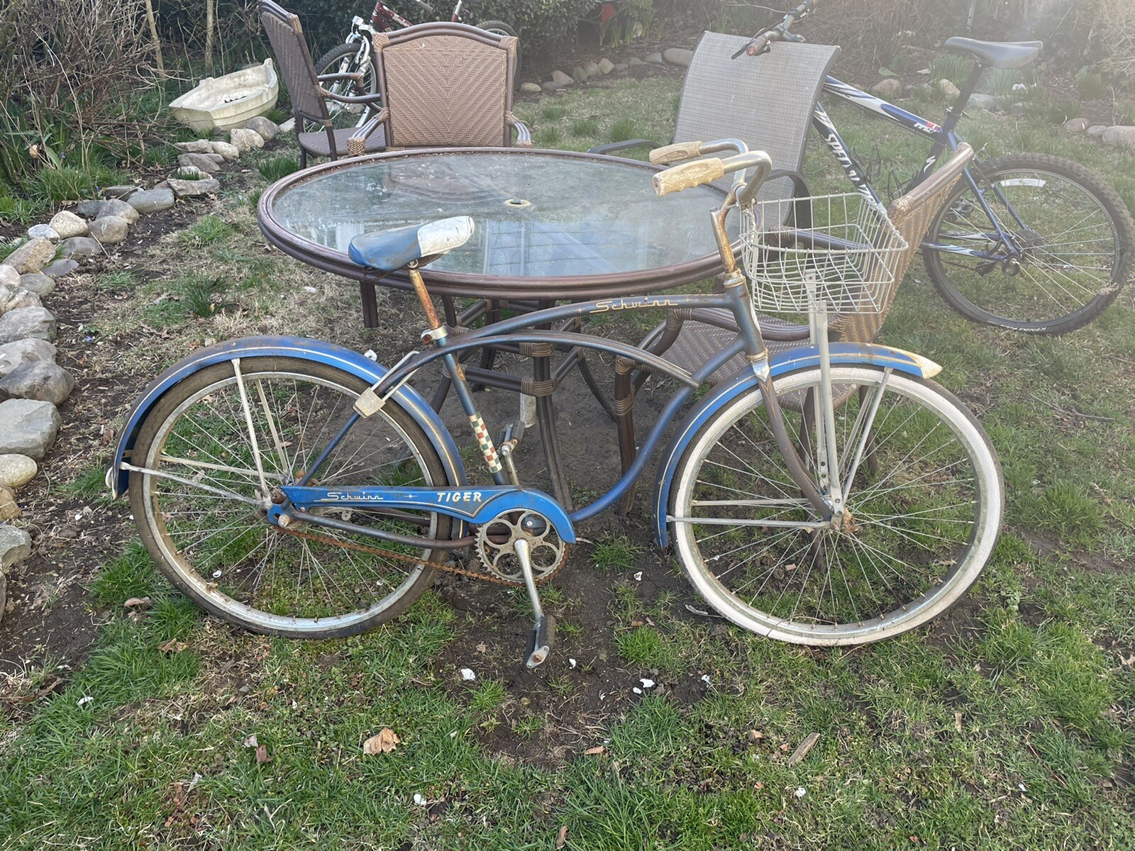 SCHWINN TIGER MENS CRUISER BICYCLE VINTAGE Blue Rare Local Pick Up