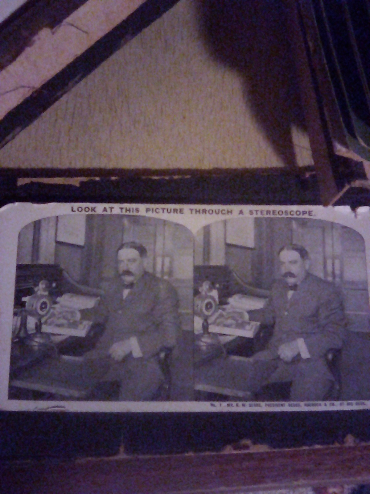 Sears And Roebucks Litho Stereoview Bonus Card