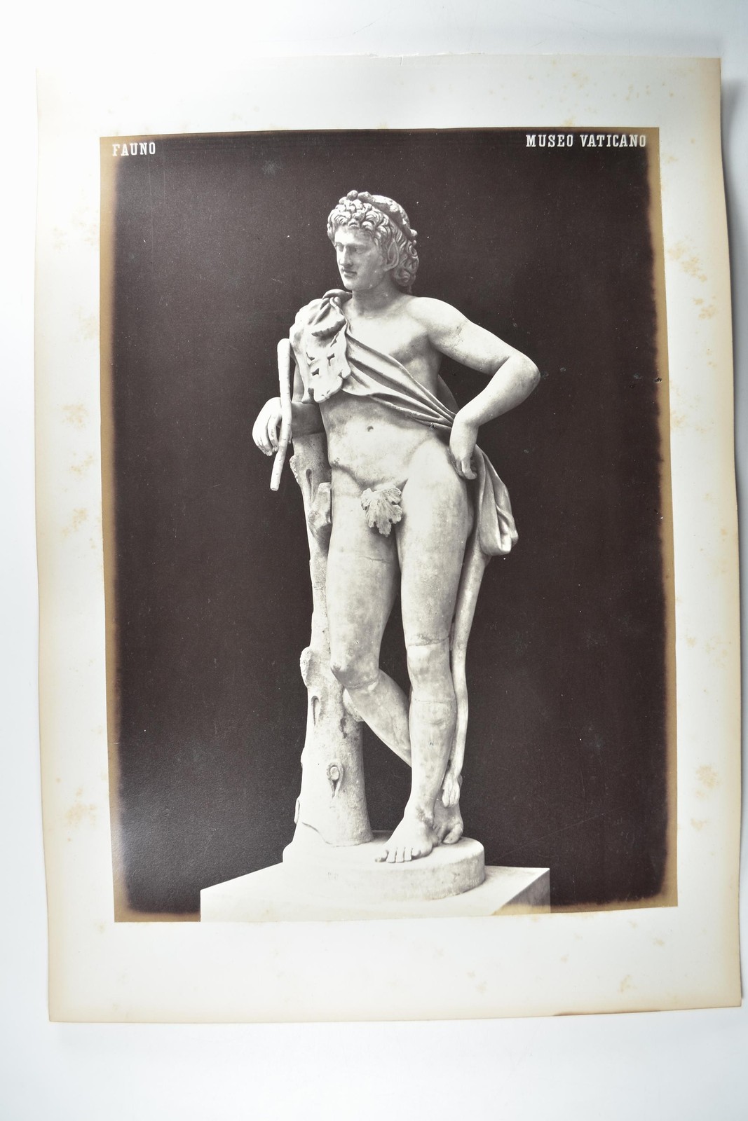 Fauno Statue Museo Vaticano Rome Classical Sculpture Marble c1870s VTG Photo