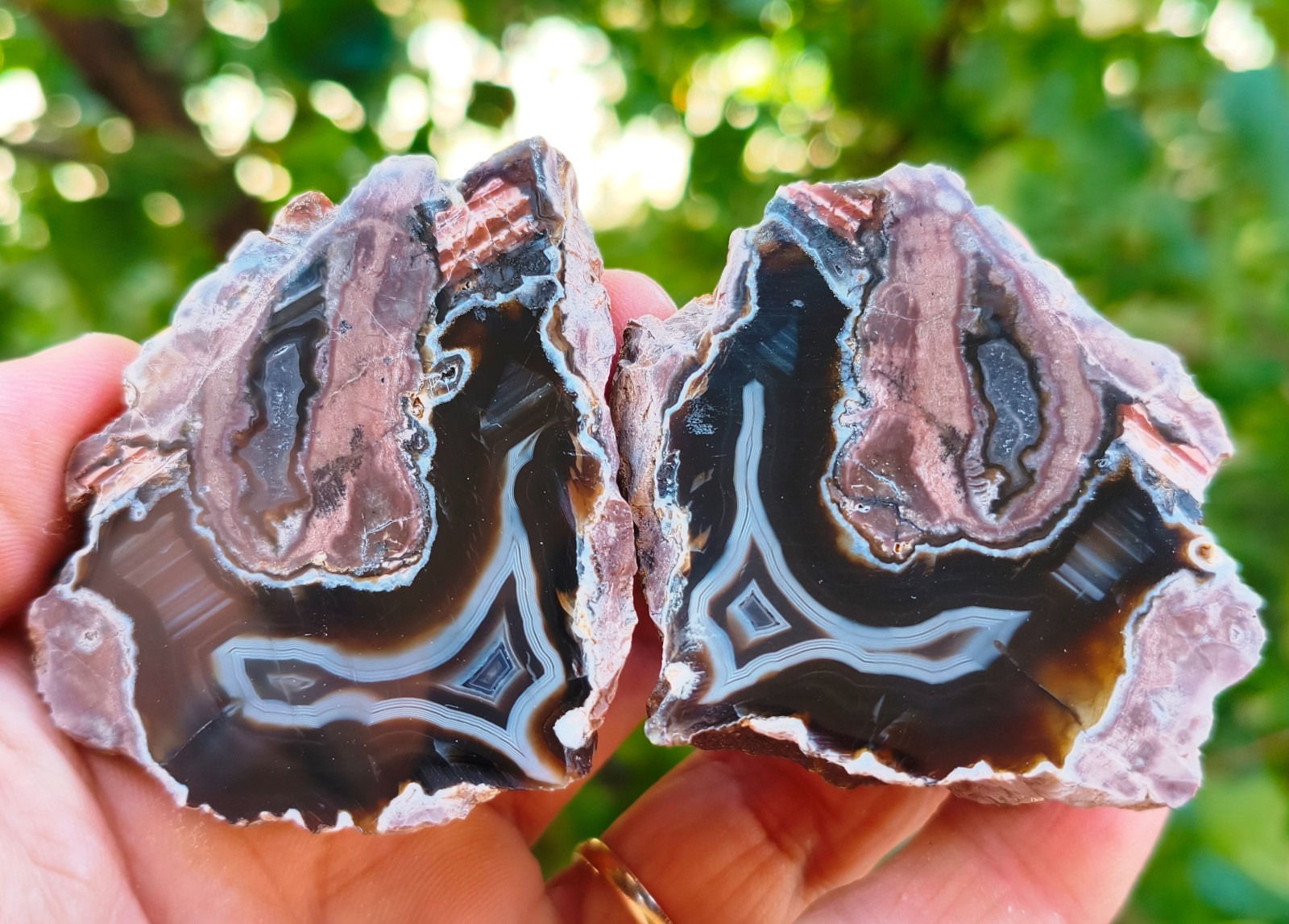 Mirror Polished White Lace Thunderegg Agate Pair