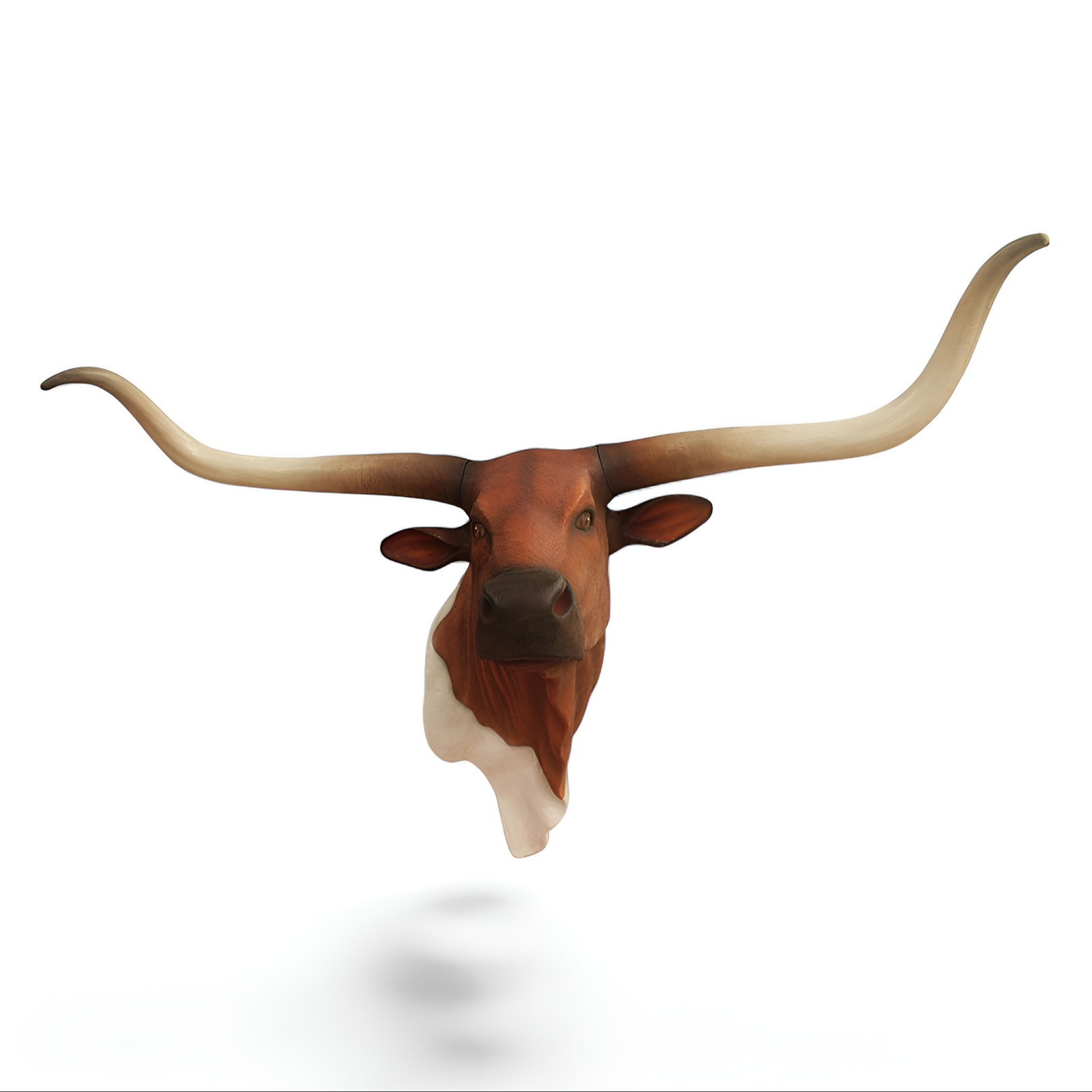 Texas Longhorn Bull Head Wall Mount Statue - Life Size Longhorn Steer Bust