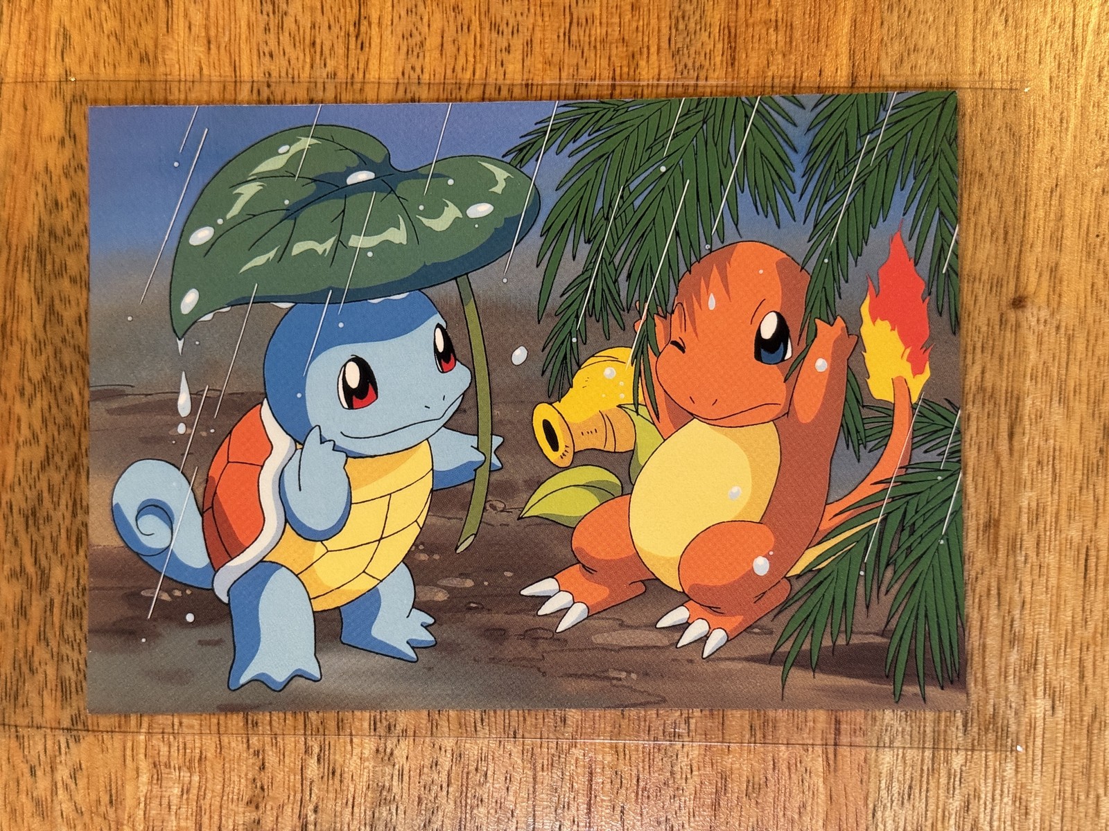 Pocket Monsters Pokemon Squirtle Charmander Red Version Post Card 013 Japanese