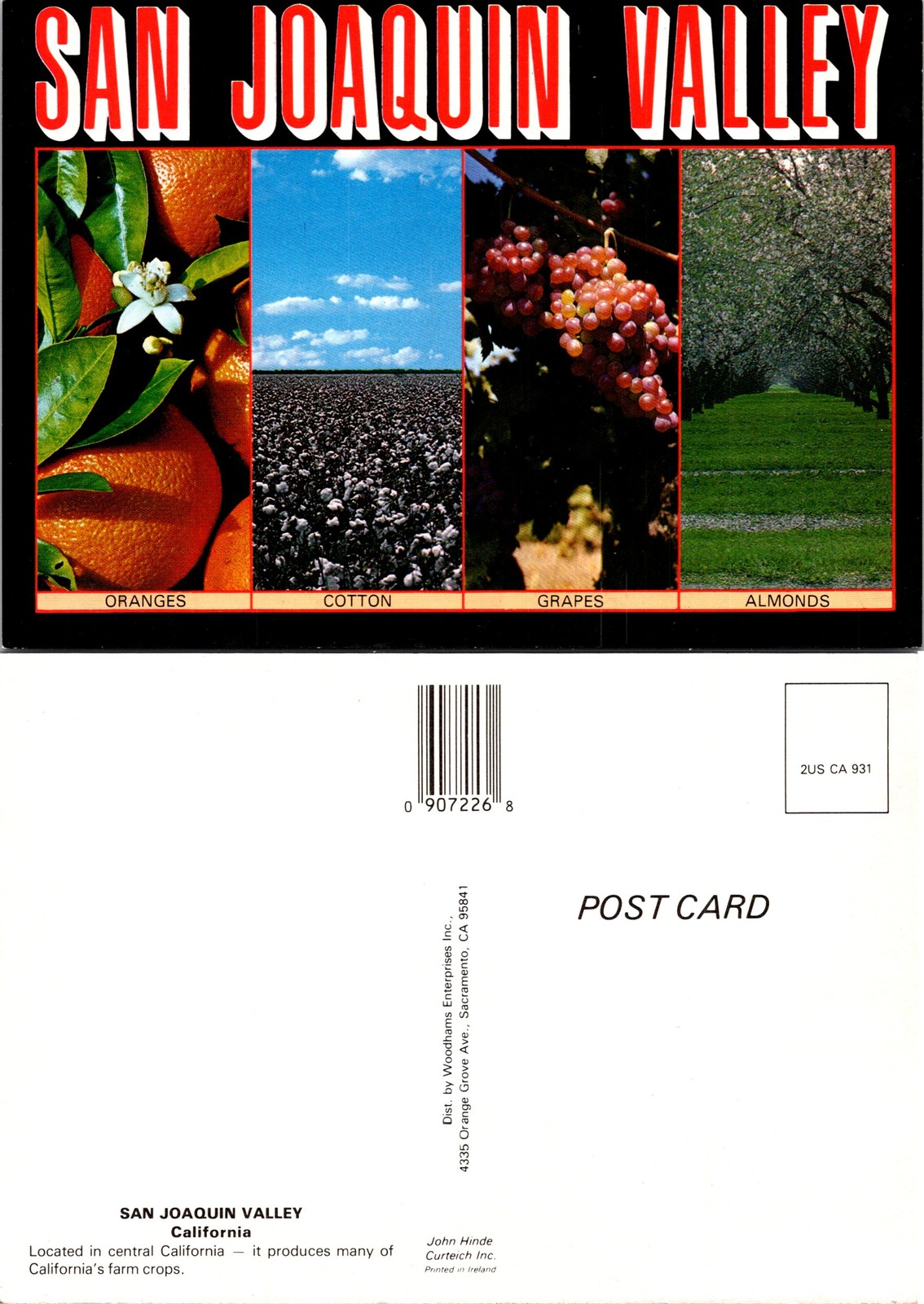 San Joaquin CA Central California Valley Farm Crops Orange Cotton Postcard 73203