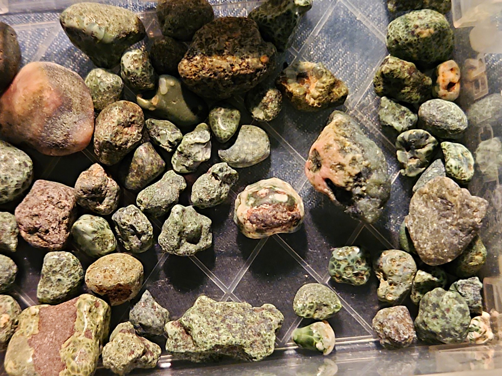 25 Raw Greenstones (Chlorastrolite) or Isle Royale Greenstones Gemstones (About 